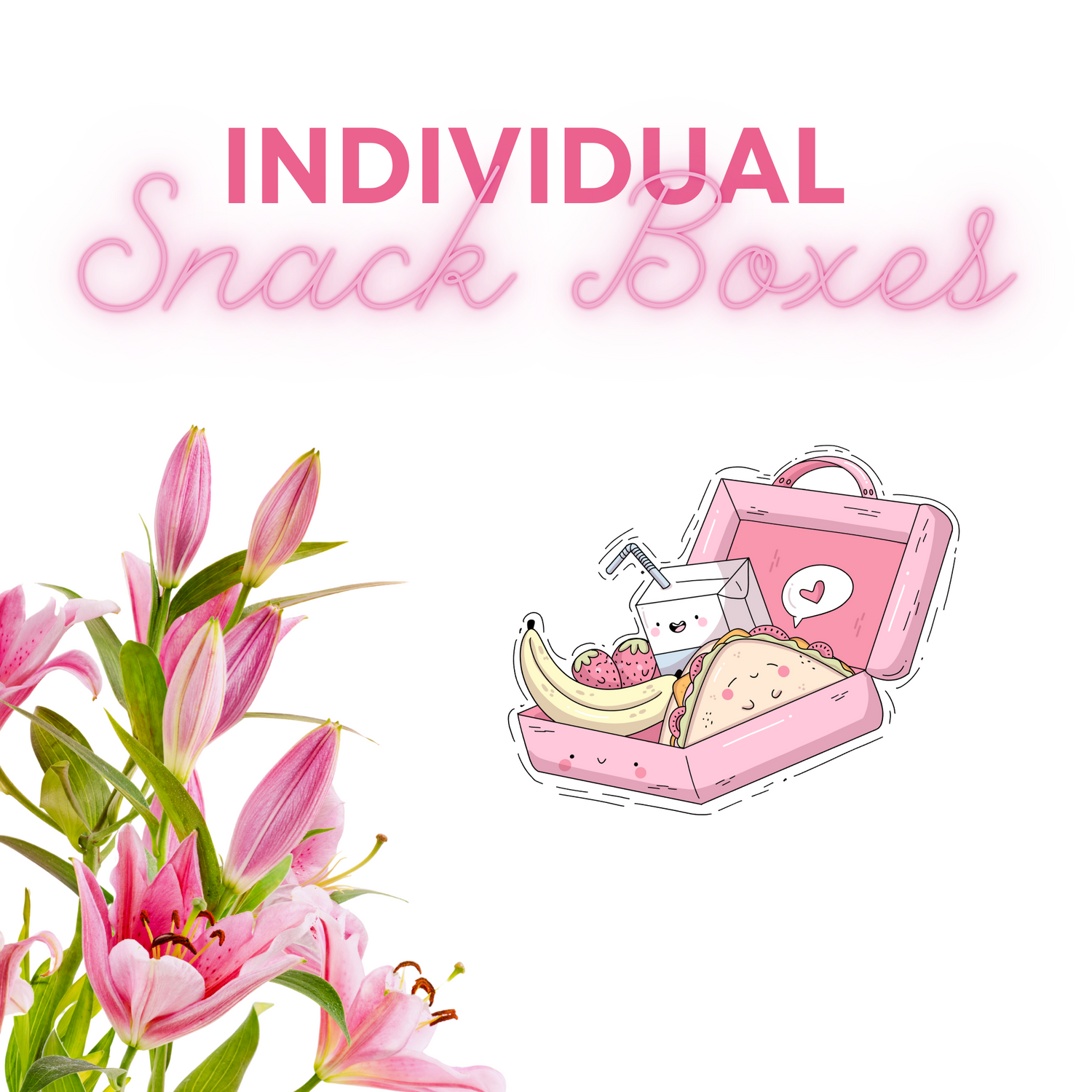 Individual Snack Boxes
